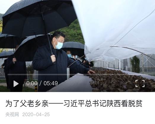 775b430df54dd252ab8394d3ea46690